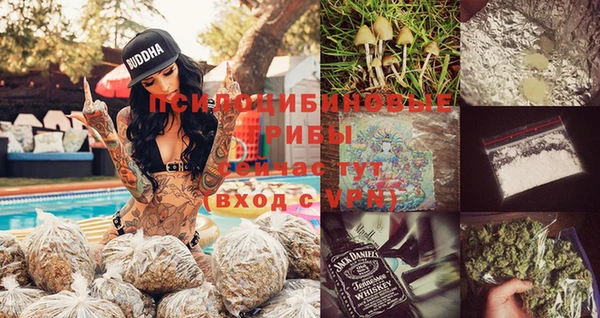 гидра Алзамай