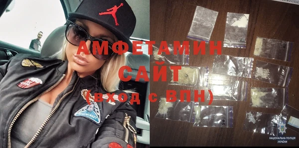 гашик Пестово