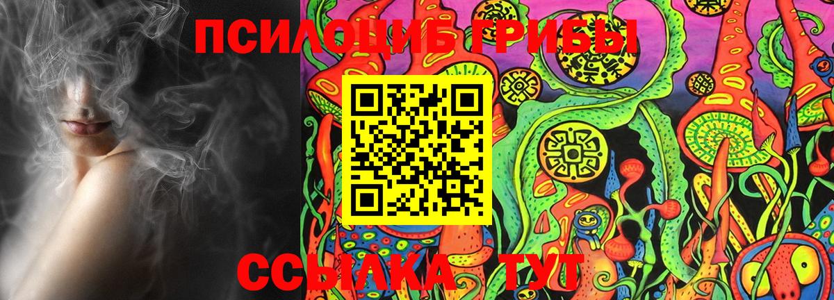 Галлюциногенные грибы MAGIC MUSHROOMS  Вход с VPN  цены наркотик  Сосновый Бор 
